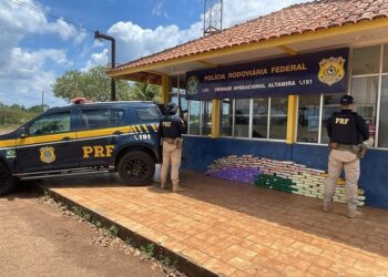Droga foi apreendida em Altamira — Foto: PRF/Divulgação