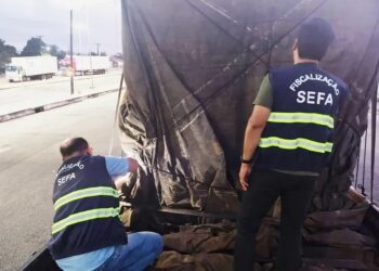 Foto: Agência Pará / Divulgação