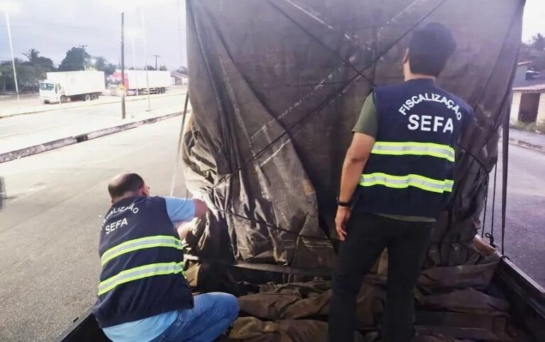 Foto: Agência Pará / Divulgação