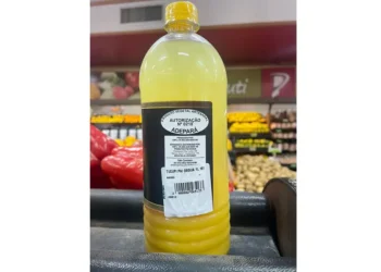 Foto: Agência Pará - Divulgação