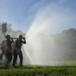 Semas abre inscrições para brigadistas que atuarão no combate a incêndios florestais