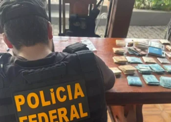 Armas e dinheiro são apreendidos em operação contra garimpo e comércio clandestino de ouro no Pará. (Foto: Polícia Federal)