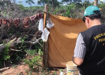 Pará tem sete novos nomes incluídos na “lista suja” do trabalho escravo do governo federal