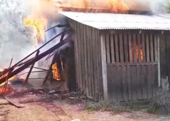 Operação do Ibama em área rural de Senador José Porfírio causa revolta entre colonos do Assurini