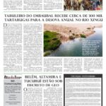 Edição 216: Jornal A Voz do Xingu