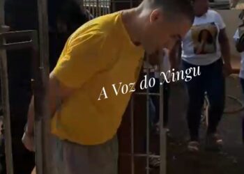 Imagem: W. Corrêa (Medicilândia)