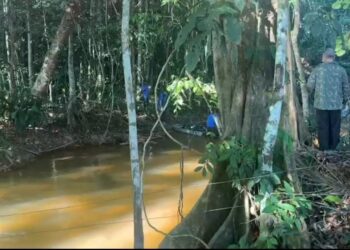 Corpo é encontrado boiando em igarapé na zona rural de Altamira (PA)