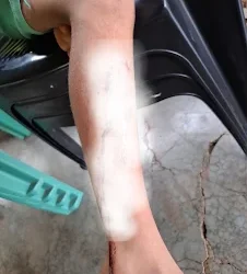 Foto: portal Brasil Novo Notícias