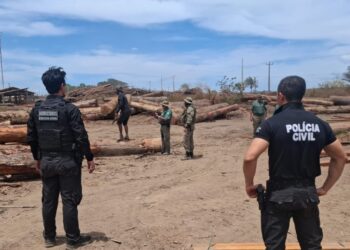 Em Senador José Porfírio, mulher é presa em flagrante durante operação contra crimes ambientais e fraudes florestais