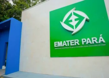 EMATER-PARÁ abre PSS com 38 vagas e salários de até R$ 4,7 mil; saiba como se inscrever