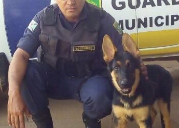 Guarda Municipal de Altamira morre 12 dias após grave acidente na PA-415