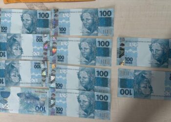 Mulher é presa em Porto de Moz ao receber cédulas falsas enviadas pelos Correios