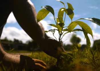 Foto: Particular Filmes / Divulgação Norte Energia