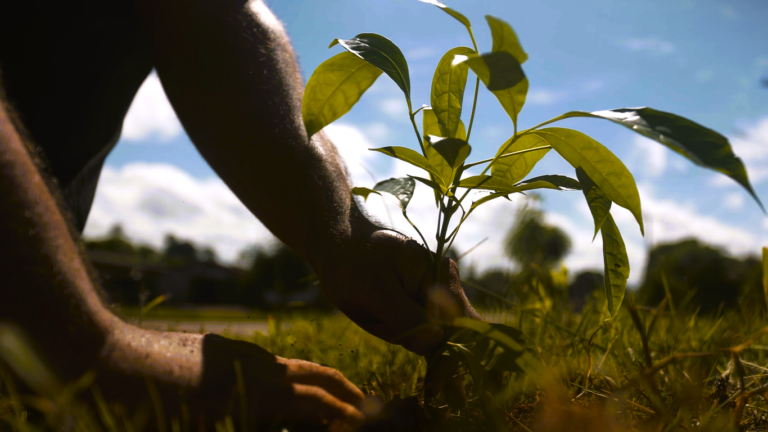 Foto: Particular Filmes / Divulgação Norte Energia