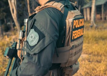 Imagem: Ilustração