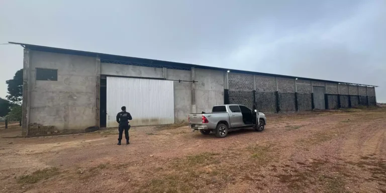 PF deflagra Operação Castelo de Fogo contra grilagem e desmatamento no oeste do Pará (Foto: Divulgação | PF)