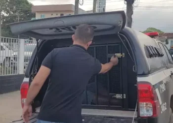 Motociclista é detido após atropelar duas mulheres dentro de cemitério em Santarém. (Foto / Reprodução / Portal Jonas Mayk)