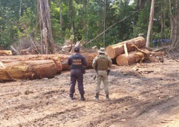 Foto: PF - Divulgação