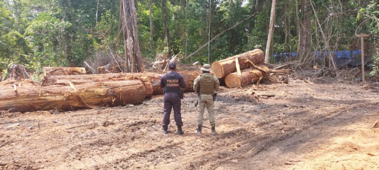 Foto: PF - Divulgação