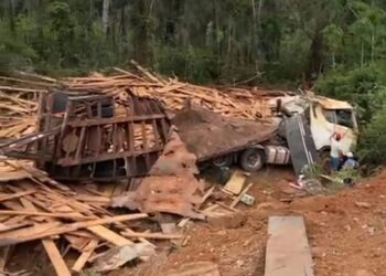 Carreta carregada de madeira tomba na PA-370, em Uruará (PA)