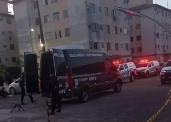 Granada é encontrada dentro de lixo em condomínio de Marituba, no Pará