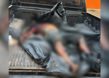 Jovem desaparecido é encontrado morto em área de mata em Senador José Porfírio (PA)