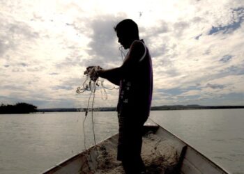 Foto: Ministério da Pesca / Divulgação