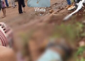 Foto: portal Brasil Novo Notícias