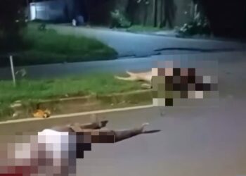 Foto: portal Brasil Novo Notícias