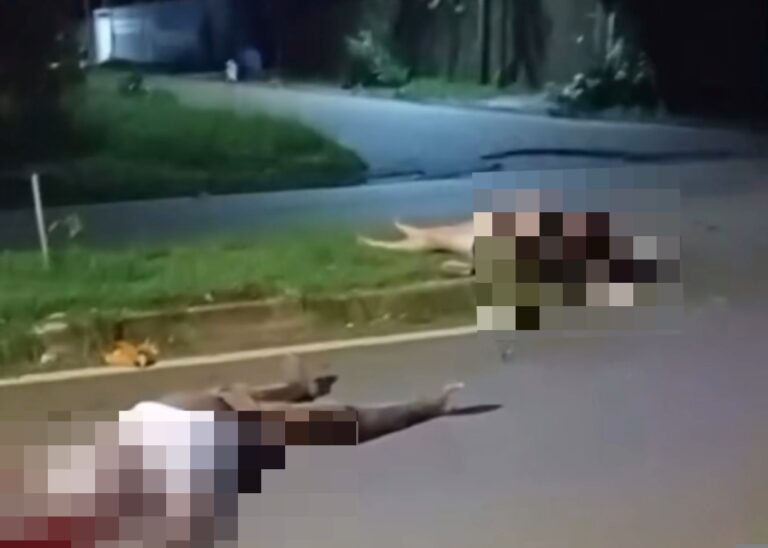 Foto: portal Brasil Novo Notícias