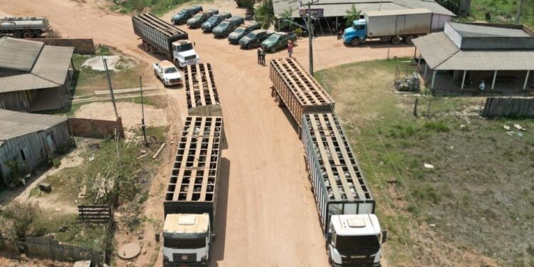 Vaqueiro contratado pelo Ibama é morto em emboscada durante operação federal na Terra Indígena Apyterewa, no Pará