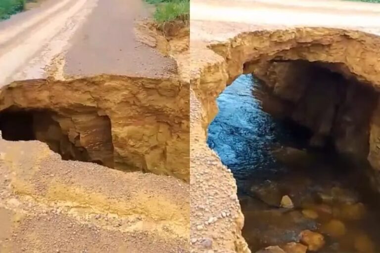 Foto: portal Plantão 24 horas