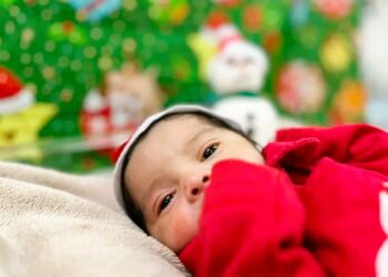 Foto: Agência Pará / Divulgação