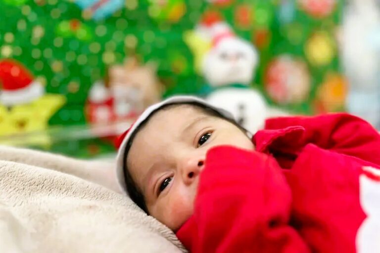 Foto: Agência Pará / Divulgação