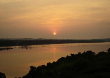 Parna Serra do Pardo, no Pará. — Foto: Ricardo Dagnino - Reprodução/MPF
