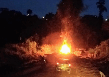 Uruará: 33 pessoas e 10 empresas viram rés em ação da Operação Hardwood por desmatamento e corrupção