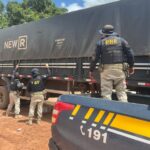 PRF e Ibama apreendem 160 m³ de madeira ilegal em Uruará (PA)