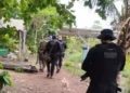 PC prende liderança de facção criminosa atuante na região do Lago de Tucuruí (Foto: Divulgação | PC)