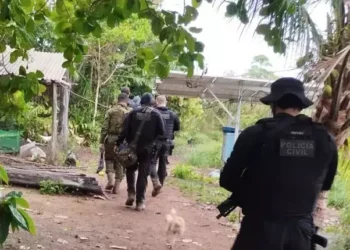 PC prende liderança de facção criminosa atuante na região do Lago de Tucuruí (Foto: Divulgação | PC)