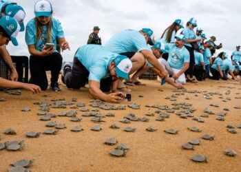 Foto: Helder Lana - Divulgação Norte Energia