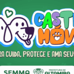 Prefeitura lança cadastro para castrações gratuitas de cães e gatos