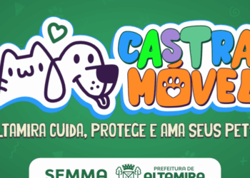 Prefeitura lança cadastro para castrações gratuitas de cães e gatos