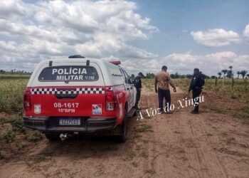 Vitória do Xingu: Fazenda no km 10 da PA-415 é alvo de furto de 55 bois; polícia investiga