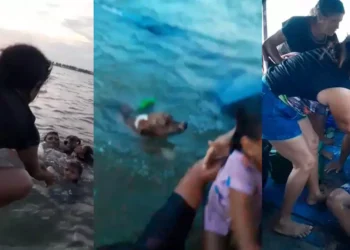 VÍDEO: Família é resgatada após naufrágio de embarcação no Rio Xingu, em Porto de Moz (PA)