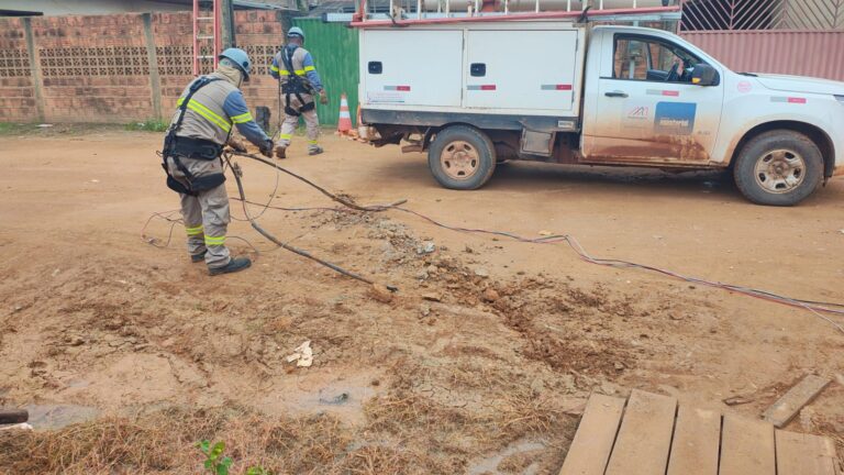 Foto: Polícia Civil do Pará