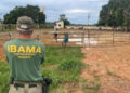 Uruará: Operação “8 Segundos” do Ibama vira alvo de disputa judicial