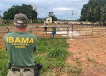 Uruará: Operação “8 Segundos” do Ibama vira alvo de disputa judicial