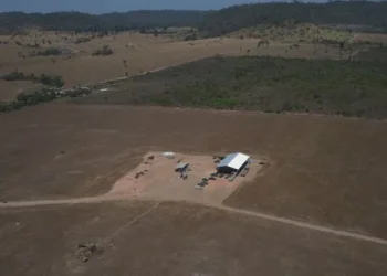 Foto: Divulgação / Ibama