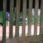 VÍDEO: Jovem destrói descarga barulhenta de moto na presença da PM e cena repercute em Medicilândia