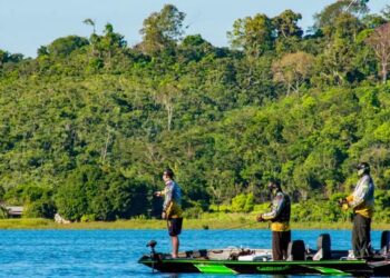Casos de pesca predatória crescem 50% no Pará